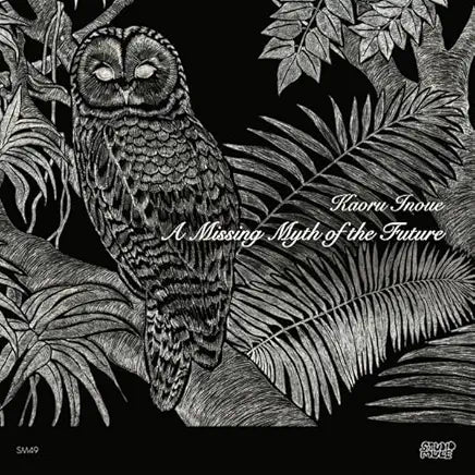 Kaoru Inoue - A Missing Myth Of The Future LP