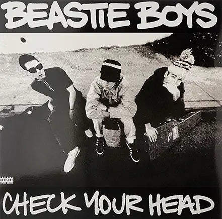 Beastie Boys - Check Your Head 2LP
