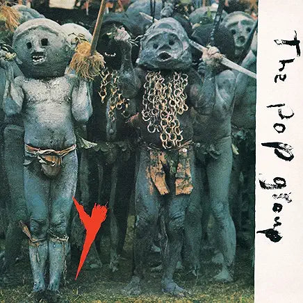 The Pop Group - Y 2LP