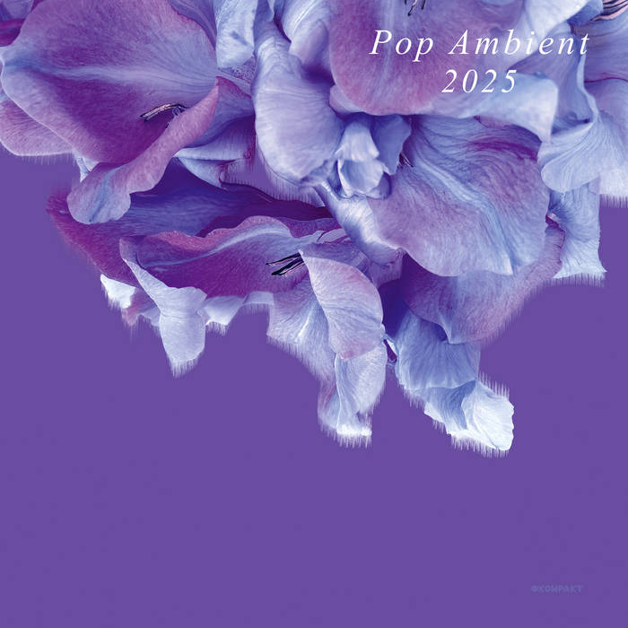 Various Artists - Pop Ambient 2025 LP