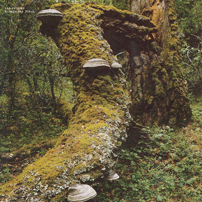 Jan Jelinek - Komischer Pitch LP