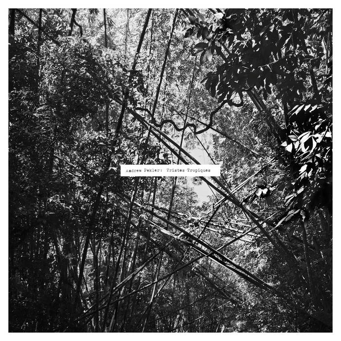 Andrew Pekler - Tristes Tropiques LP
