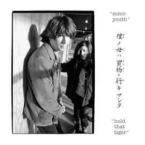 Sonic Youth - Hold That Tiger 2LP
