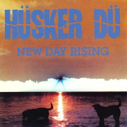 Husker Du - New Day Rising LP