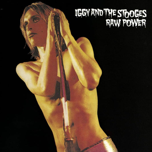 Iggy Pop & The Stooges - Raw Power 2LP