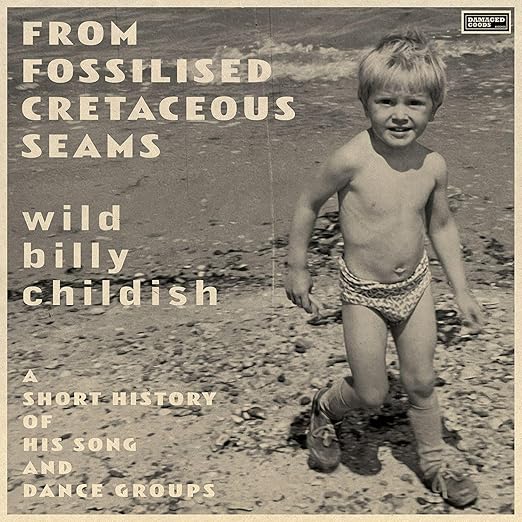 Billy Childish - From Fossilised Cretaceous Seams: A Short History Of His Song and Dance Groups 2LP