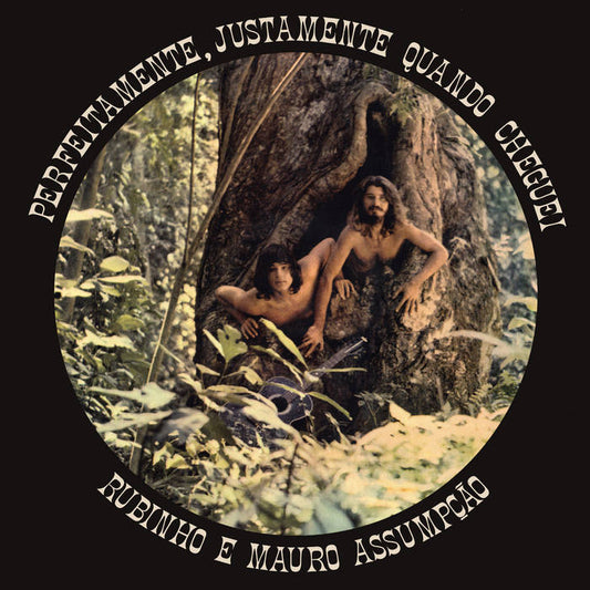 Bubinho E Mauro Assumpacao - Perfeitamente Justamente Quando Cheguei LP