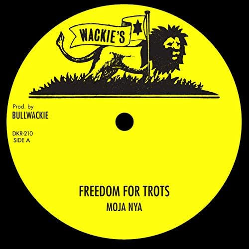 Moja Nya - Freedom For Trots 12"