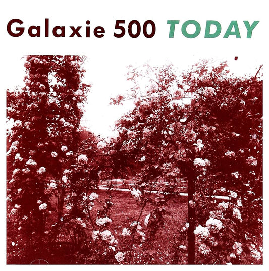 Galaxie 500 - Today LP