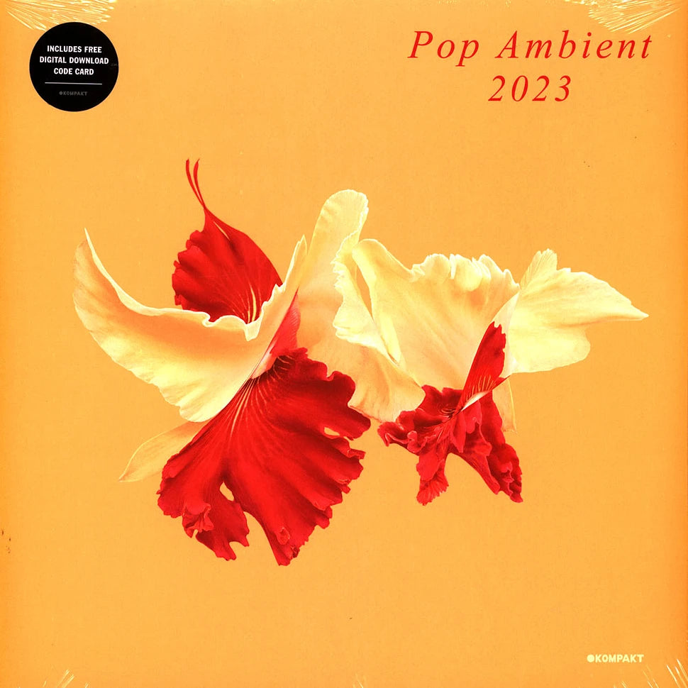 VA - Pop Ambient 2023 LP