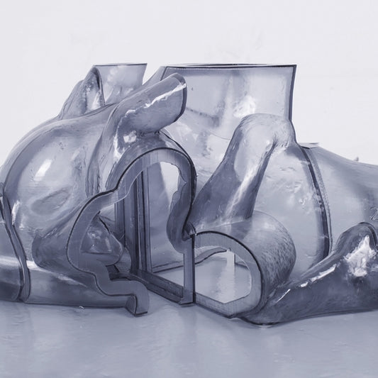 Carrier - Rhythm Immortal 2LP