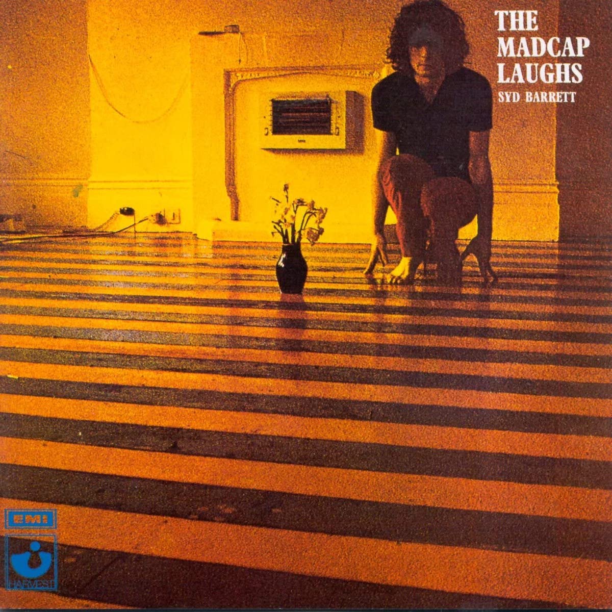 Syd Barrett - The Madcap Laughs LP