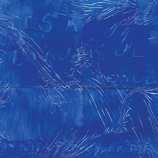 Water From Your Eyes - It's A Beautiful Place LP