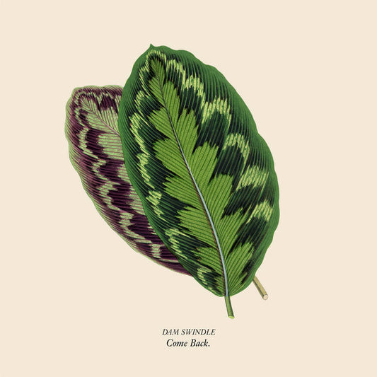Dam Swindle - Come Back EP
