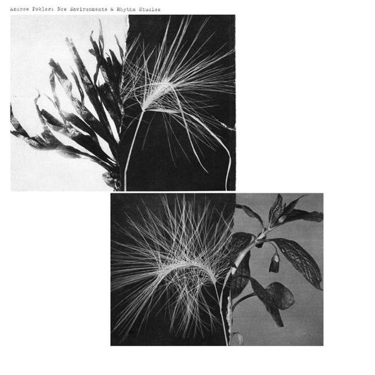 Andrew Peckler - New Environments & Rhythm Studies LP