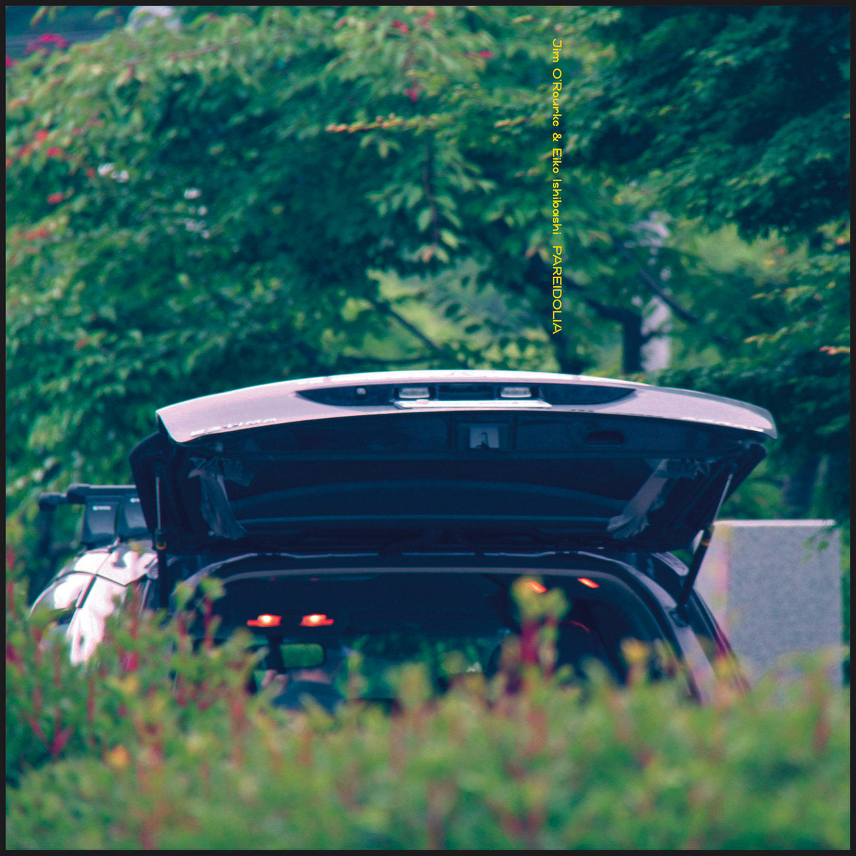 Jim O'Rourke & Eiko Ishibashi - Pareidolia LP