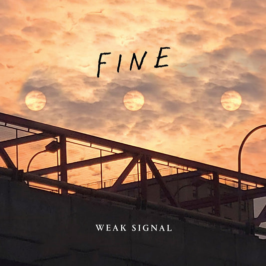 Weak Signal - Fine LP