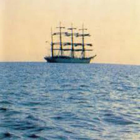 Smog - The Doctor Came At Dawn LP