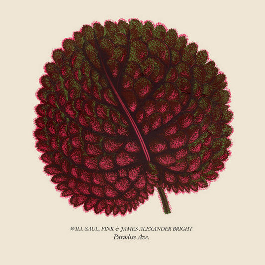 Will Saul, Fink & James Alexander Bright - Paradise Ave. 12"
