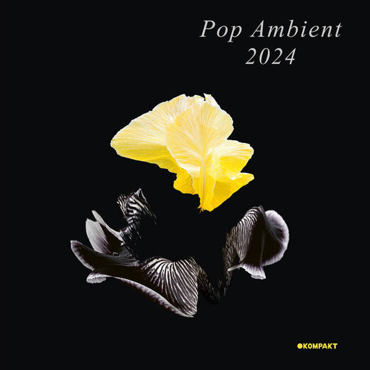 Various Artists - Pop Ambient 2024 LP