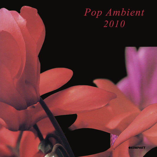 Various Artists - Pop Ambient 2010 LP