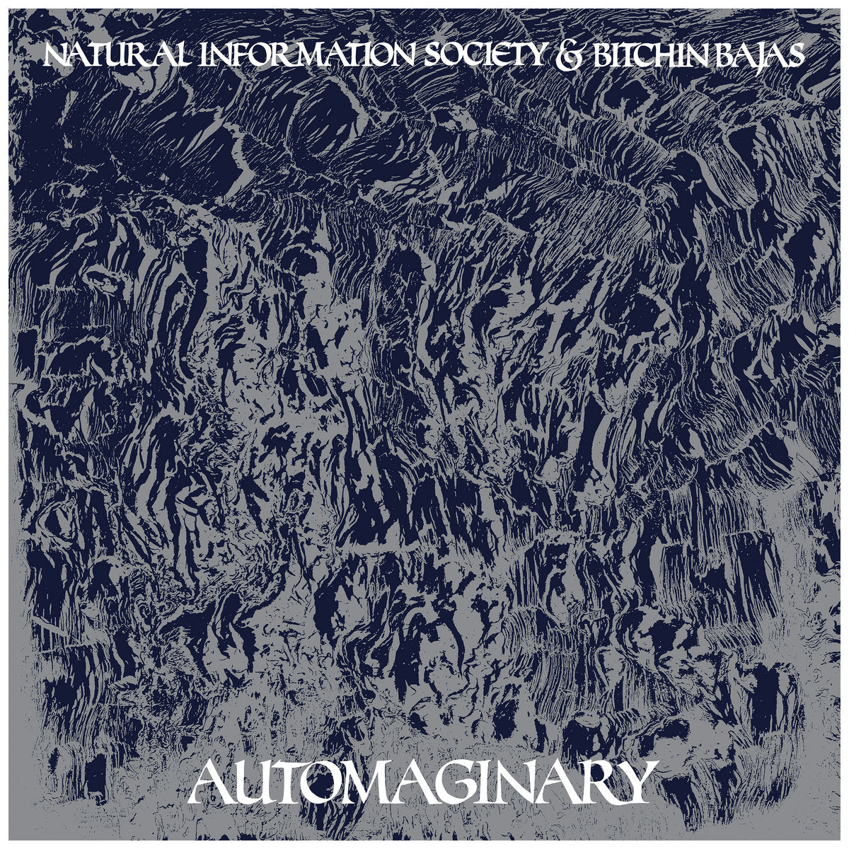 Natural Information Society & Bitchin' Bajas - Autoimaginary LP