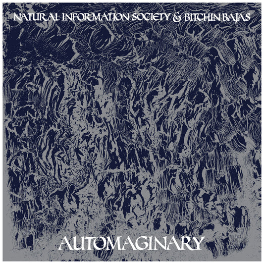 Natural Information Society & Bitchin' Bajas - Autoimaginary LP