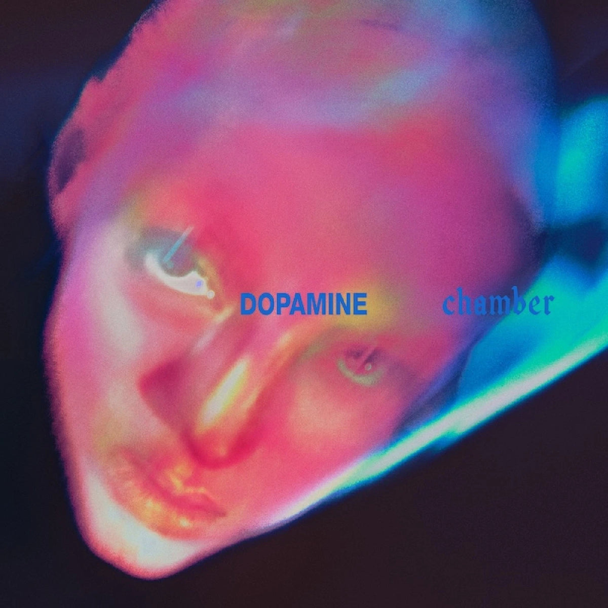 Fontaines DC - Dopamine Chamber LP
